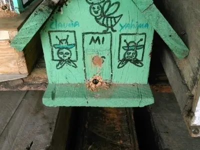 Ferienwohnung für 4 Personen (15 m²) in La Boca 10/10