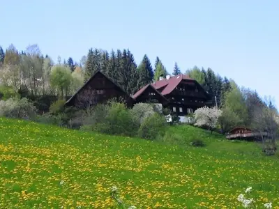 Ferienwohnung für 9 Personen (150 m²) in Puchreit 2/10