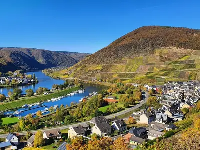 Ferienwohnung für 4 Personen (89 m²) in Senheim-Senhals 2/10