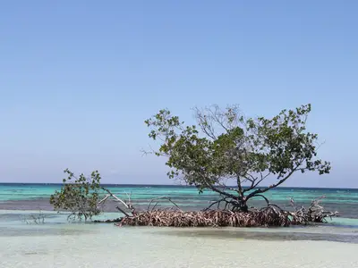Ferienwohnung für 4 Personen (15 m²) in Viñales 9/10