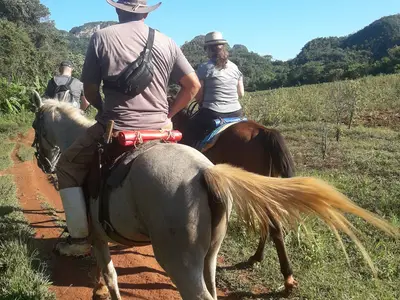 Ferienwohnung für 4 Personen (15 m²) in Viñales 10/10