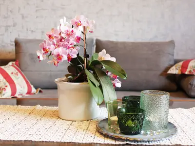 Ferienwohnung für 4 Personen (75 m²) in Wriedel 7/10