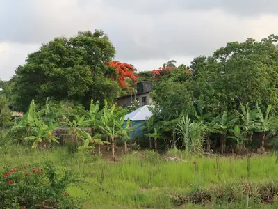 Ferienwohnung für 3 Personen (30 m²) in Guardalavaca 8/10