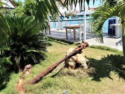 Ferienwohnung für 2 Personen (50 m²) in Havanna 7/10