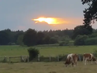 Ferienwohnung für 2 Personen (80 m²) in Aukrug 2/10
