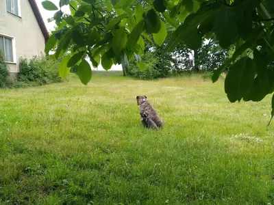 Ferienwohnung für 3 Personen (55 m²) in Dratow-Schloen 7/10