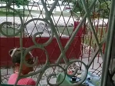 Ferienwohnung für 2 Personen (16 m²) in Playa la Herradura 7/10