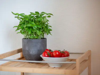 Ferienwohnung für 3 Personen (50 m²) in Fehmarn 6/10