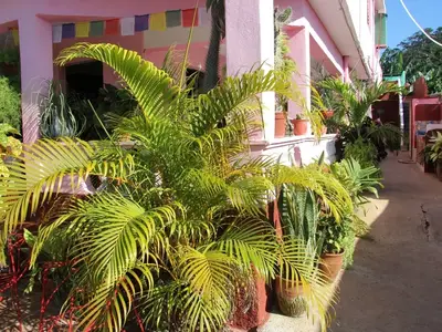 Ferienwohnung für 4 Personen (60 m²) in La Boca 6/10