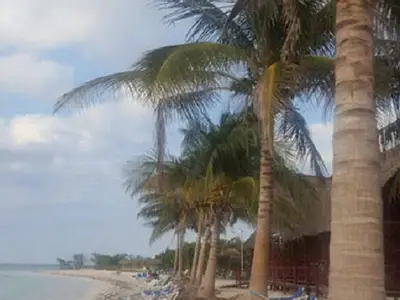 Ferienwohnung für 4 Personen (15 m²) in Viñales 7/10