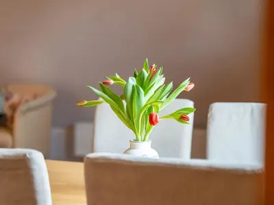 Ferienwohnung für 3 Personen (90 m²) in Rechlin 3/10