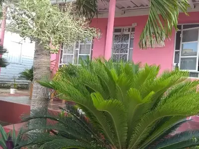 Ferienwohnung für 3 Personen (9 m²) in Viñales 8/10