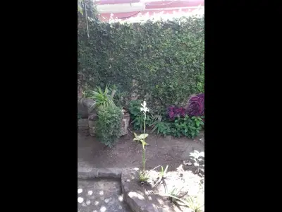 Ferienwohnung für 3 Personen (6 m²) in Holguín 9/10