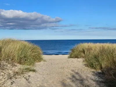 Ferienwohnung für 4 Personen (55 m²) in Kölpinsee (Usedom) 9/10