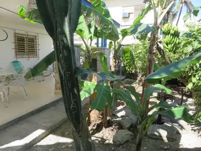 Ferienwohnung für 3 Personen (12 m²) in Marbella 10/10