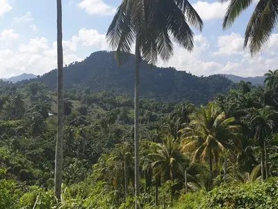 Ferienwohnung für 2 Personen (18 m²) in Moa 5/10