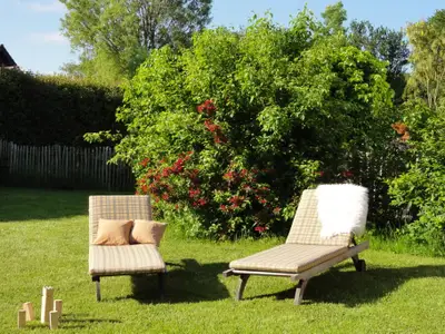 Ferienwohnung für 6 Personen (72 m²) in Niesgrau 3/10