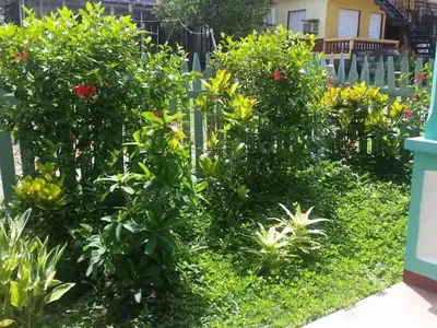 Ferienwohnung für 4 Personen (15 m²) in Viñales 2/10