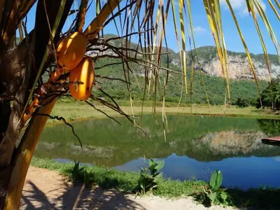 Ferienwohnung für 4 Personen (15 m²) in Viñales 4/10