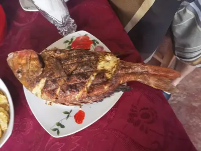 Ferienwohnung für 2 Personen (16 m²) in Santa Lucía 2/10