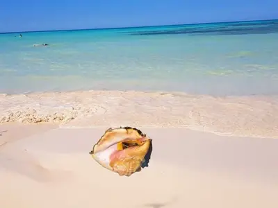 Ferienwohnung für 2 Personen (16 m²) in Santa Lucía 10/10