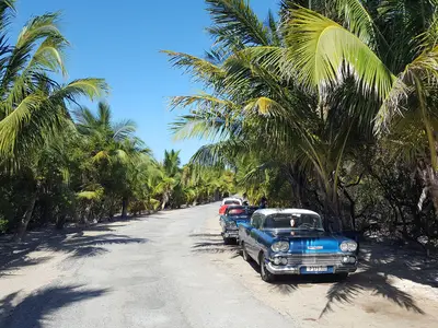 Ferienwohnung für 4 Personen (16 m²) in Viñales 7/10