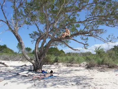 Ferienwohnung für 4 Personen (16 m²) in Viñales 10/10