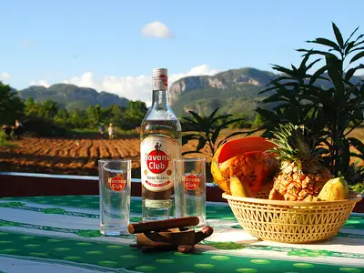 Ferienwohnung für 4 Personen (20 m²) in Viñales 8/10