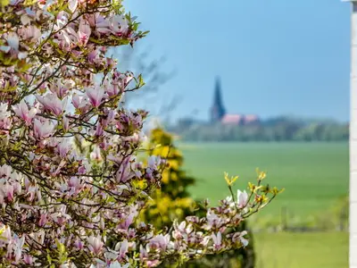 Ferienwohnung für 2 Personen (45 m²) in Fehmarn 9/10