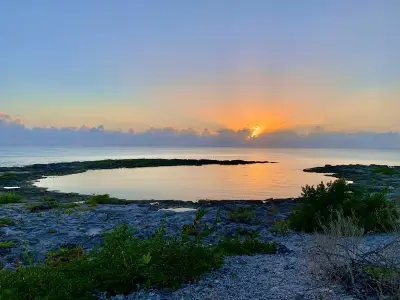 Ferienwohnung für 4 Personen (16 m²) in María La Gorda 7/10