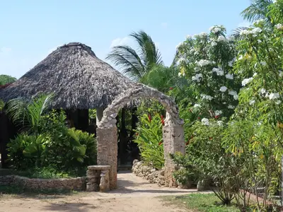 Ferienwohnung für 3 Personen (25 m²) in Guardalavaca 2/10