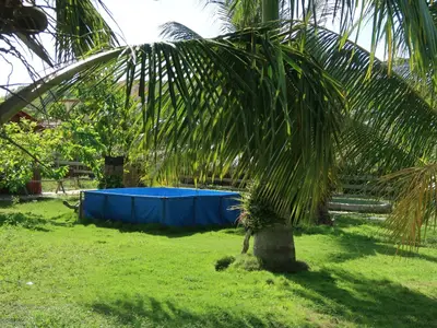 Ferienwohnung für 3 Personen (25 m²) in Guardalavaca 6/10