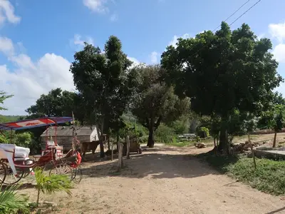 Ferienwohnung für 3 Personen (25 m²) in Guardalavaca 7/10