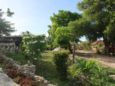 Ferienwohnung für 3 Personen (25 m²) in Guardalavaca 9/10