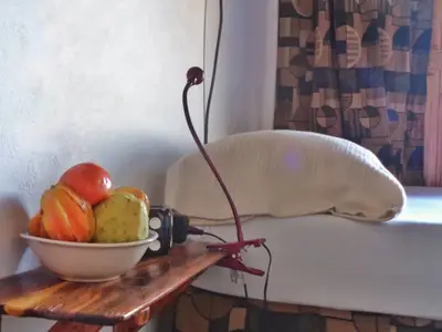 Ferienwohnung für 2 Personen (16 m²) in Playa la Herradura 3/10