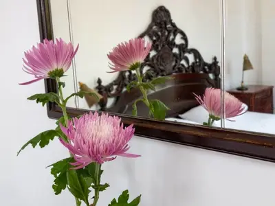 Ferienwohnung für 2 Personen (16 m²) in Havanna 3/10