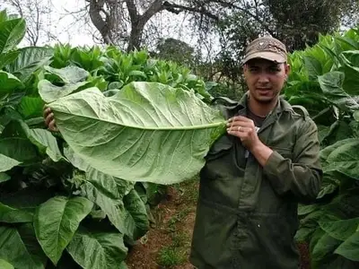 Ferienwohnung für 2 Personen (16 m²) in Viñales 9/10