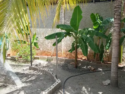 Ferienwohnung für 3 Personen (25 m²) in Holguín 7/10