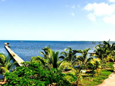 Ferienwohnung für 4 Personen (16 m²) in La Esperanza 8/10