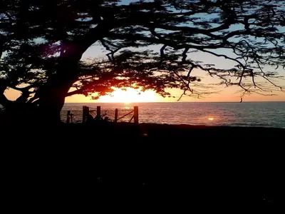 Ferienwohnung für 4 Personen (18 m²) in La Boca 8/10