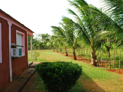 Ferienwohnung für 4 Personen (20 m²) in Margajitas 7/10