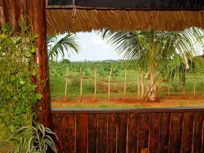 Ferienwohnung für 4 Personen (20 m²) in Margajitas 8/10