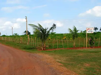 Ferienwohnung für 4 Personen (20 m²) in Margajitas 10/10