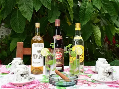 Ferienwohnung für 4 Personen (18 m²) in Viñales 9/10