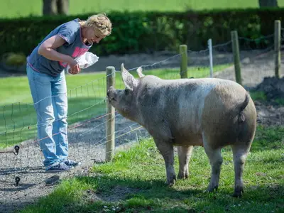 Ferienwohnung für 3 Personen (50 m²) in Fehmarn 5/10