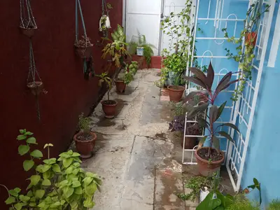 Ferienwohnung für 3 Personen (16 m²) in Holguín 5/10