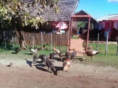 Ferienwohnung für 4 Personen (20 m²) in Margajitas 6/10