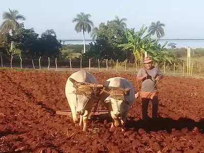 Ferienwohnung für 4 Personen (20 m²) in Margajitas 8/10