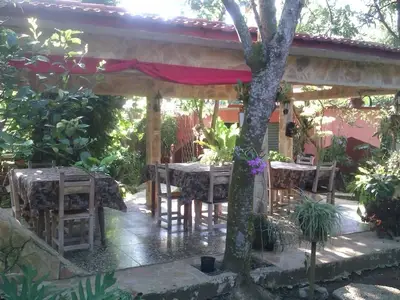 Ferienwohnung für 3 Personen (16 m²) in La Flora 10/10