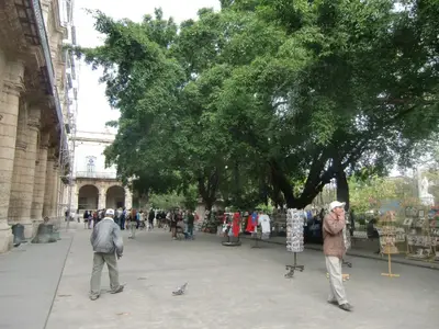 Ferienwohnung für 3 Personen (40 m²) in Havanna 3/10